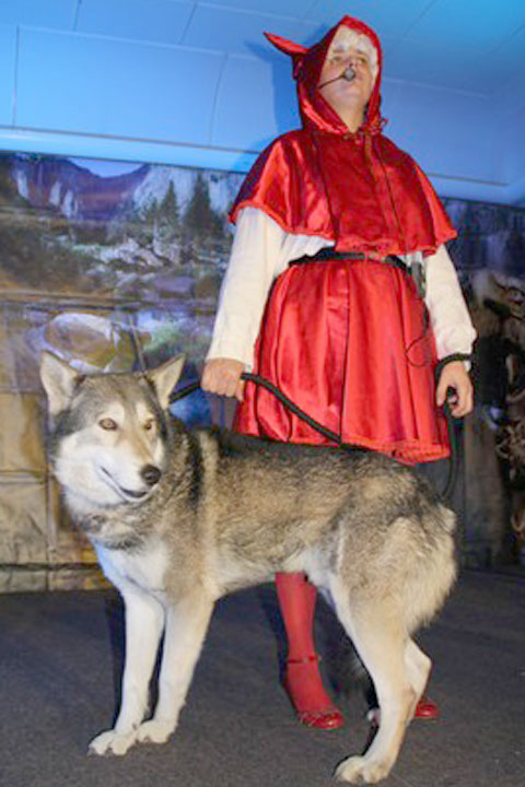 Le petit chaperon rouge et le vrai loup